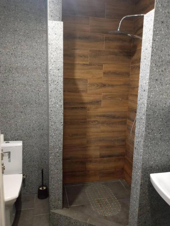 апартаментиtrembita Apartment